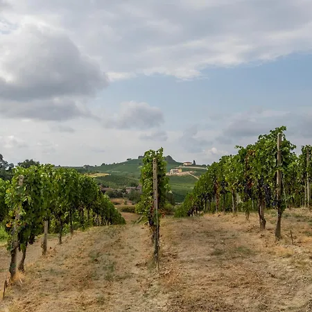 San Damiano - Grandmaison