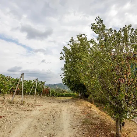 San Damiano - Grandmaison * Vigliano d'Asti