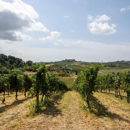 San Damiano - Grandmaison * Vigliano d'Asti